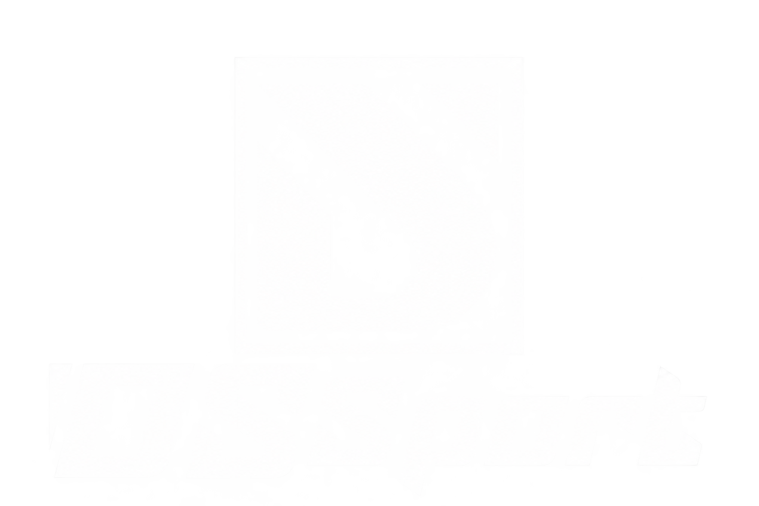 DSSport